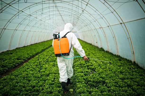 Best Mosquito Control Services  in West Pasco, WA