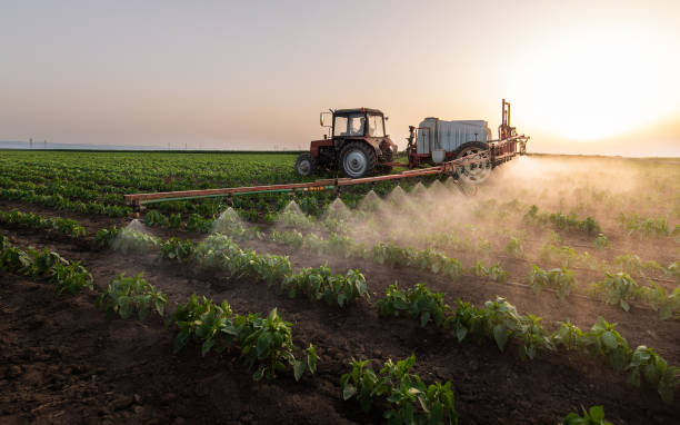Best Pest Control Near Me in West Pasco, WA