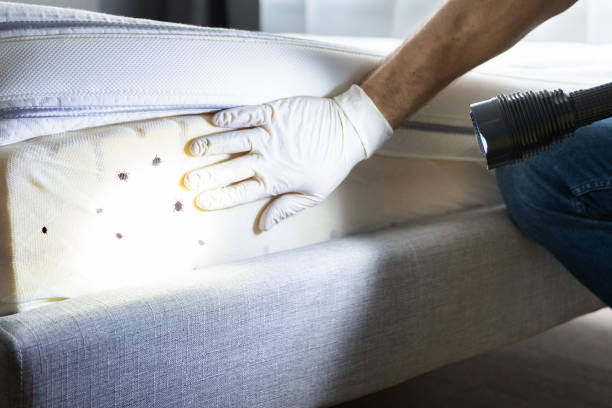 Best Insect Control  in West Pasco, WA