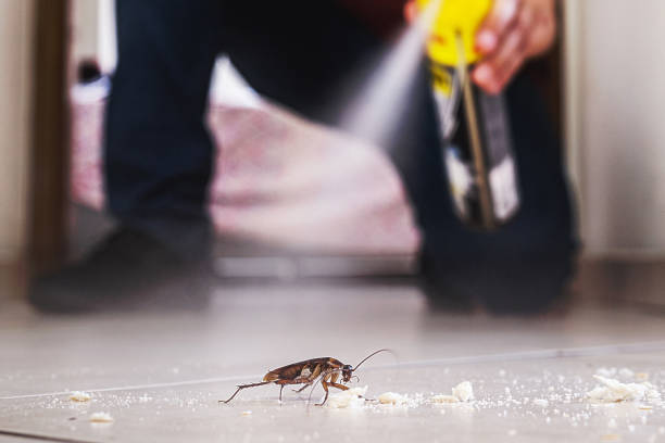 Best Wildlife Control Services  in West Pasco, WA
