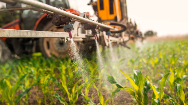 Best Pest Removal Services  in West Pasco, WA