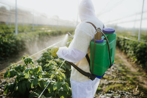 Best Local Pest Control Services  in West Pasco, WA